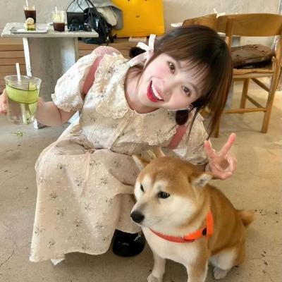 青春环游记第四季